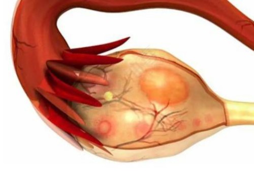 北京医院可以做试管婴儿吗,关于北京做试管婴儿的答疑