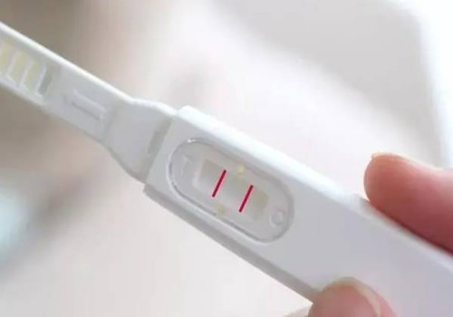 高考体检血液检查项目汇总，附高考体检项目解析