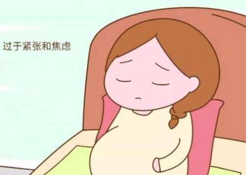 胚胎等级怎么划分,优质胚胎关键是卵子还是精子