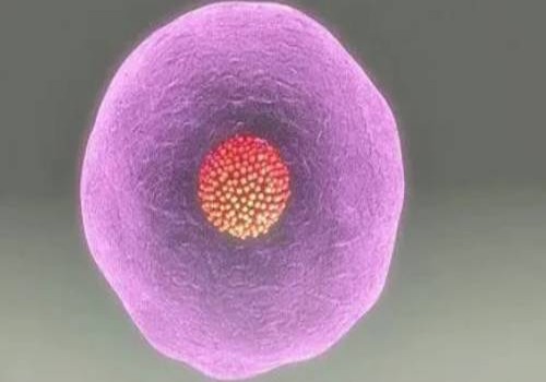 婴儿生理盐水喷鼻怎么喷？宝妈一定要学会正确操作方法