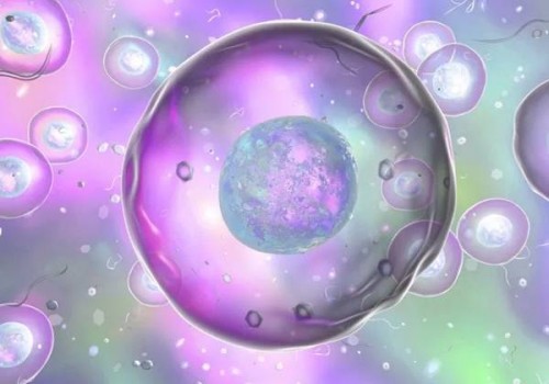 给刚生产完的产妇做五红汤怎么做最好？