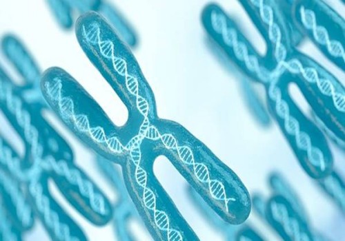 夫妻身体正常根本做不了试管，包生男孩更不可能实现